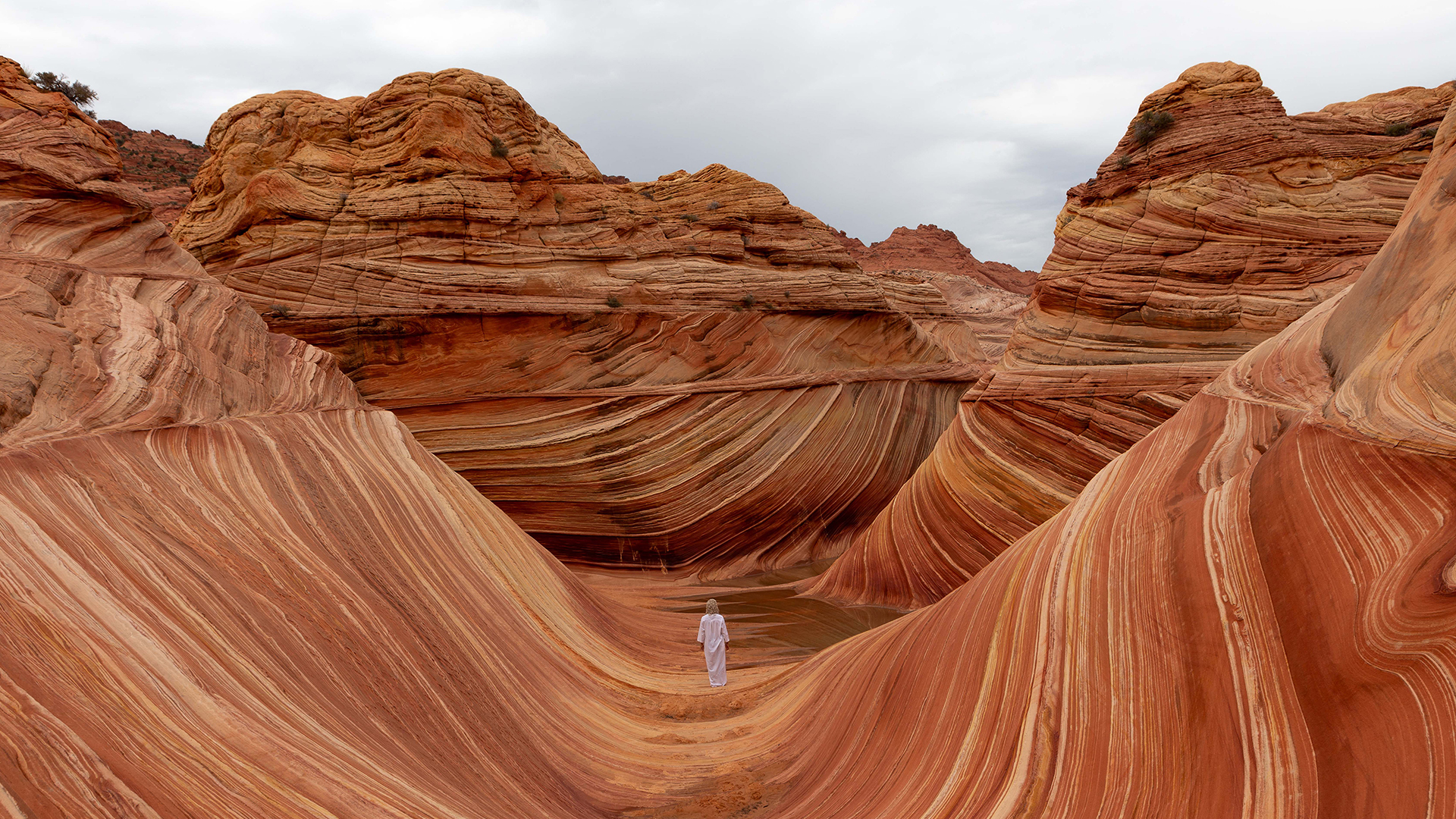 Image of dessert landscape with twisting rocks