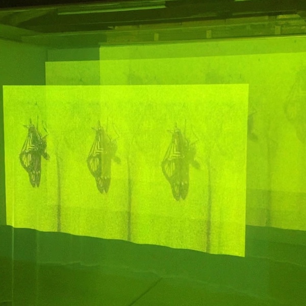  A green sculptural projection of printed frames of a butterfly emerging from its cocoon 