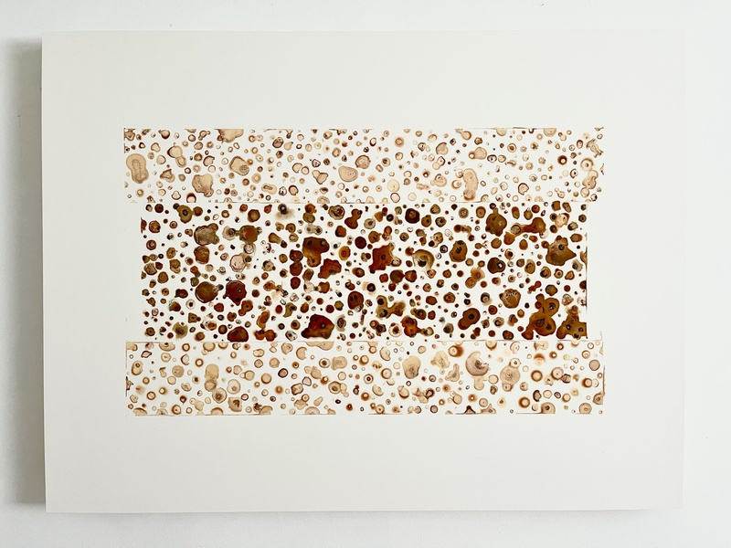  30 inch by 40 inch painting on white clay board with cell-like pale and very light brown paint droplets vertically sandwiching brown cell-like paint droplets in the shape of a rectangle. 
