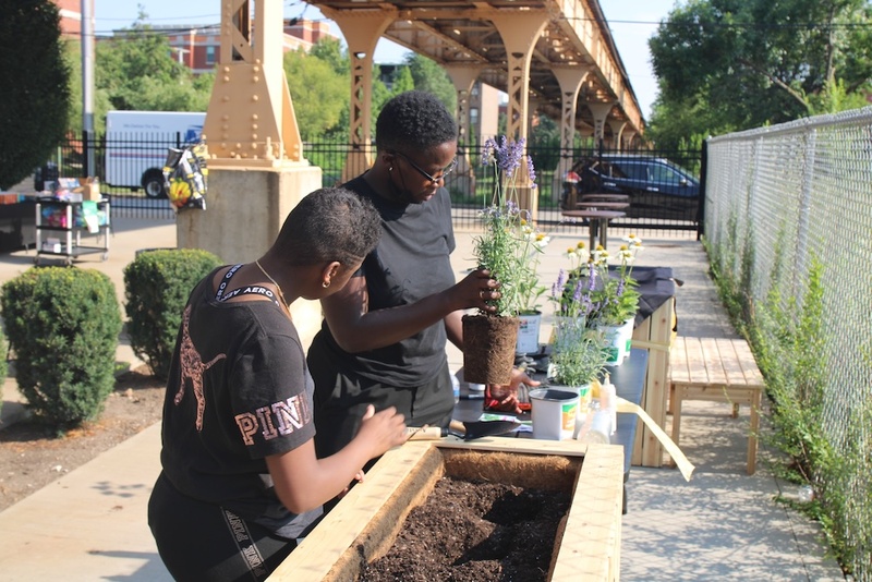  A black woman with glasses, queer presenting with short black hair shows another individual in planting some plants. 