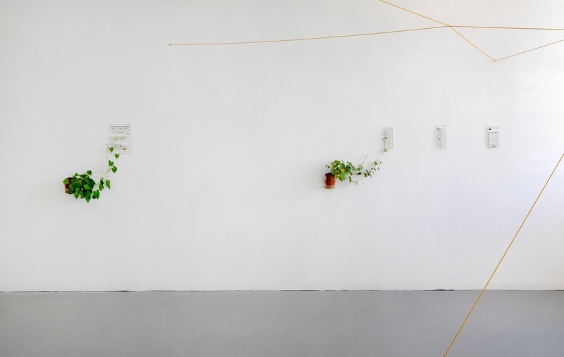  Huong N Ngo artwork 