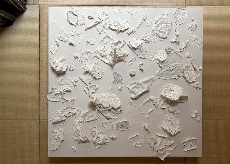  Jaclyn Mednicov artwork 